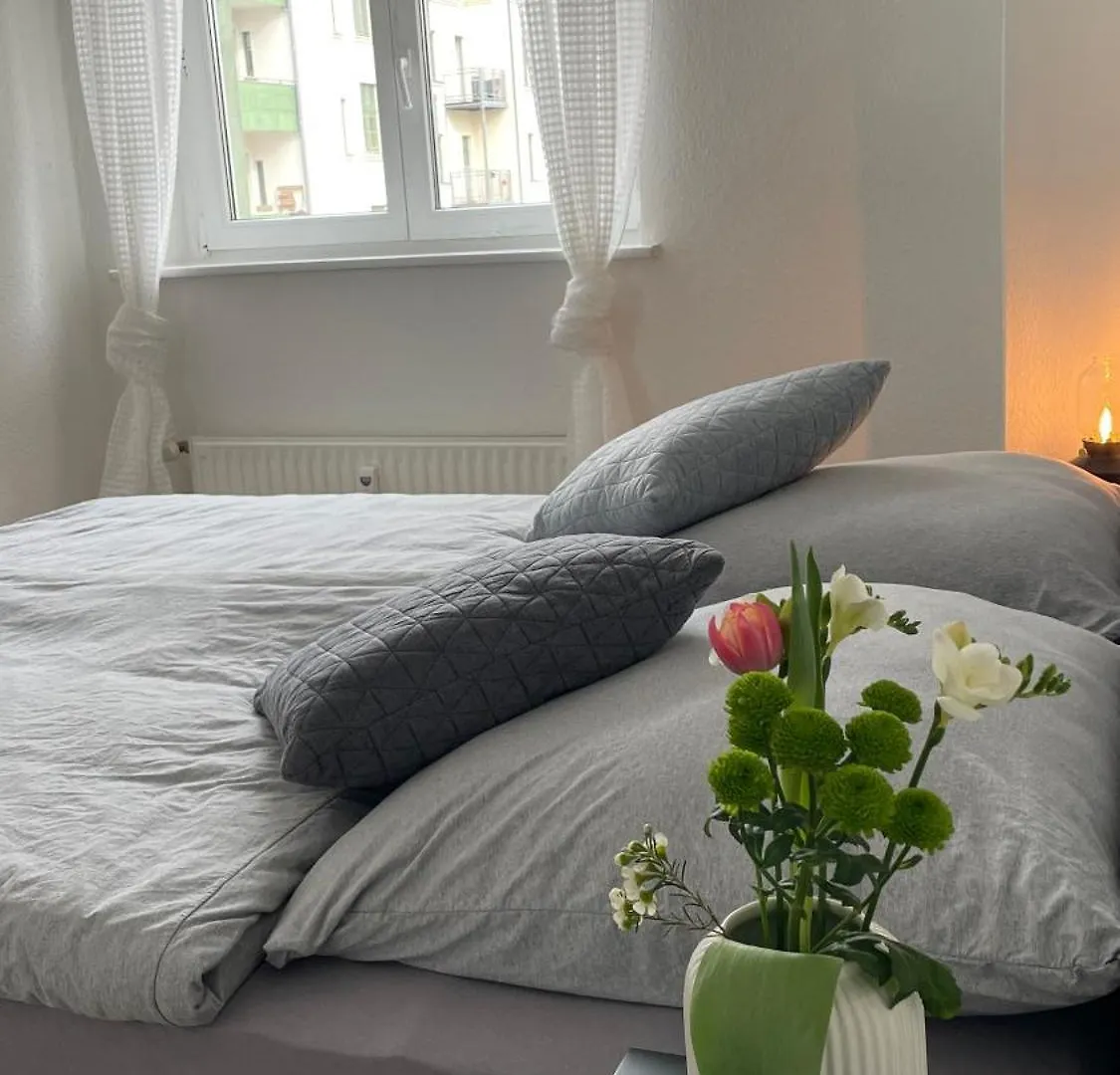 Charmante Wohnung In Der Suedvorstadt location
